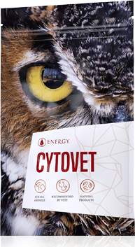 EnergyVet Cytovet 90tbl